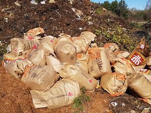 Leaf, yard waste collection returns in Norfolk