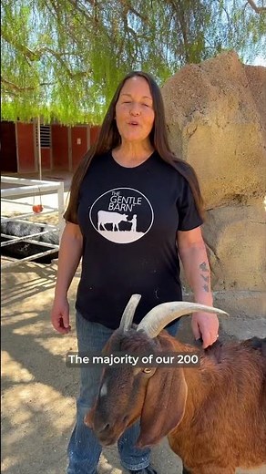 How hay helps our rescued animals heal ❤️‍🩹