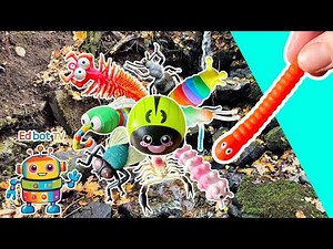Kids Learn Bug Insect Names | Waterfall Fun: Slug Weevil Beetle