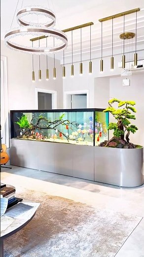 Discus Tank Maintenance Secrets for Success 👏🔥