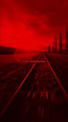 ✨Centuries x Lyrics | Fall Out Boy | aesthetic | lyrics | sped up | #centuries #lyrics #shortsfeed