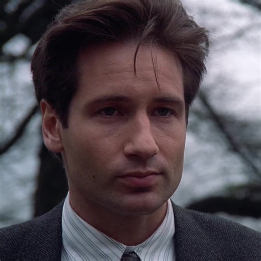 where is the david duchovny renaissance — character: fox mulder (portrayed by david duchovny) show: the x files (streaming on hulu/pluto tv) audio: shut it down by drake the dream scenes: mine — #foxmulderedit #thexfilesedit #davidduchovnyedit