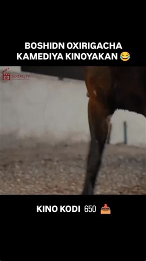 Filmlar TV on Instagram: "Lamine Yamal Nasraoui Ebana (born 13 July 2007) is a Spanish professional footballer who plays as a right winger for La Liga club Barcelona and the Spain national team. Known for his pace, dribbling, passing, crossing ability, and ability to strike powerful long-range shots, he is widely regarded as one of the best young footballers in the world Yamal came through La Masia, Barcelona's youth academy, and made his competitive debut at age of 16 in August 2023. He establi