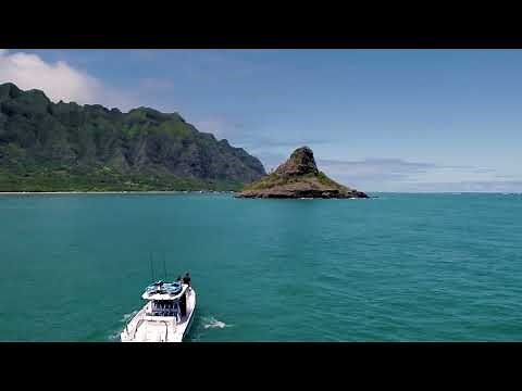 30 segundos | Simrad NSX | Chartplotter y sonda inteligentes