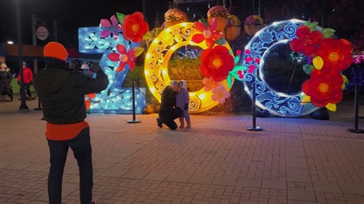 Toledo Zoo Lights Before Christmas 2025: Your guide to the award-winning holiday tradition