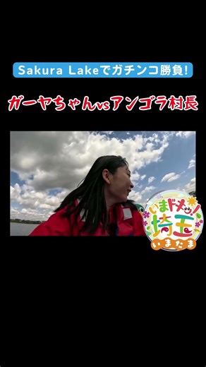 #ゴールデンウィーク#GW#アンゴラ村長#ガーヤちゃん#レイクタウン#ビール#遊び#対決#SUP#カヤック#湖#池#SakuraLake#越谷市#松井咲子#カナイ#いまたま#埼玉県#埼玉#shorts