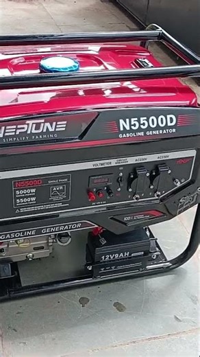 Neptune petrol generator #neptune #generator #engine