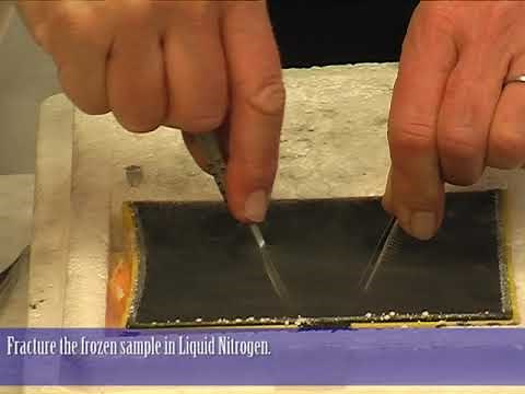 CryoSEM: Preparing a cross section from a fresh sample