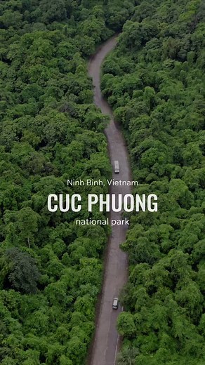 Cuc Phuong National Park 🇻🇳 on Instagram: "Not all treasures are hidden in museums. Some are alive, breathing, and waiting for you in Cuc Phuong, Vietnam.🌳 Không phải mọi báu vật từ thuở hồng hoang được phát hiện đều nằm trong viện bảo tàng. Có những báu vật đang sống, đang thở, đang được bảo tồn để phát triển và hồi sinh sự sống hàng ngày sẽ chờ bạn khám phá tại Cúc Phương! 💚 #ExploreVietnam #HiddenGem #CucPhuongNationalPark #VietnamNature #VietnamWildlife #WildlifeConservation #NatureLover