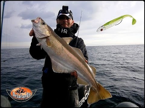 Pêche en Mer en derive sur Epave