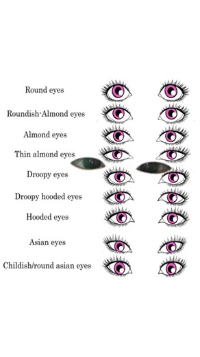 Rose_rosiemongolia (@rose_rosiemongoli)’s videos with original sound - Megan’s #1 wifey⸆⸉