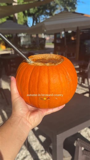 The Broward Scene | Events & Things To Do on Instagram: "Autumn in Broward County 🍂 What fun things have you done already this October for fall? Have you visited any of the pumpkin patches, spooky restaurants, or fall festivals? Follow @thebrowardscene for more fall things to do in Broward & Fort Lauderdale 🍁 #broward #browardcounty"