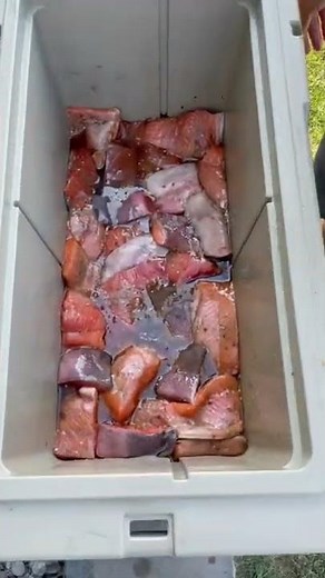 How Alaskans Smoke Salmon