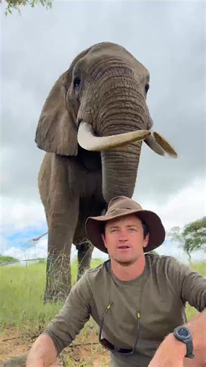 Everything is interesting about THIS big Mak! month mak elephant | Cooking With MiMi