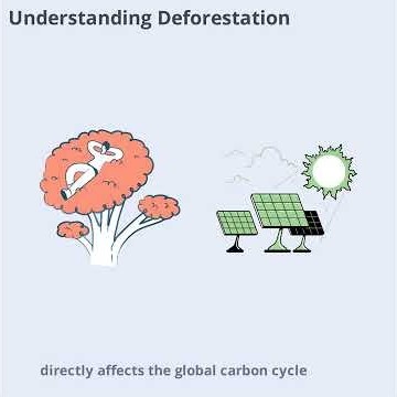 The Impact of Deforestation on Global Carbon Cycles