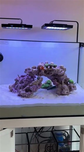 The entire process of aquarium landscaping