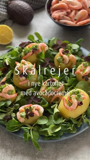 Smagen af sommer! ☀ Nye kartofler fyldt med grønlandske rejer og avocadocreme – let, frisk og uimodståelig 🥔🦐🥑 💾 Husk at gemme opskriften til senere. 💙 Antal: 4 💙 Tid: 35 minutter Ingredienser: 400g grønlandske skalrejer 500g nye kartofler 50g feldsalat evt. skovsyre (til pynt) Avocadocreme: 1½ avocado ½ dl græsk yoghurt saft fra ½ citron 1 bundt purløg (gem lidt til topping) 1 bundt dild ¼-½ bundt persille Fremgangsmåde: Kog kartoflerne og lad dem afkøle. Kom alle ingredienserne til avoca