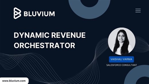 Revolutionize Order Fulfillment with Salesforce DRO | Bluvium posted on the topic | LinkedIn