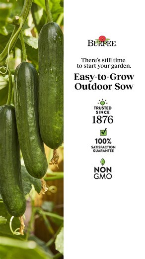 Sow it straight in your garden and grow with ease. Burpee’s Direct Sow seeds make it simple to get started now. | Burpee Gardening