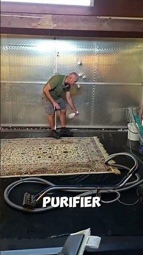 dust mite droppings in carpets