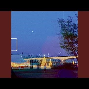 Crickets chirping night