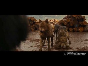 Twilight Wolves-Runnin'