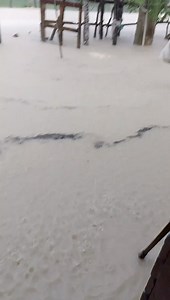 16K views | Belize Live News on Reels | Facebook