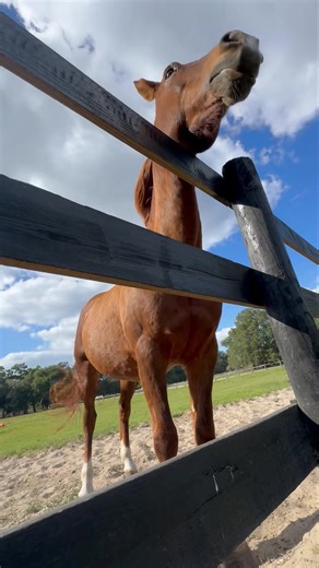 41 reactions · 3 comments | “All knowledge to connected to all other...