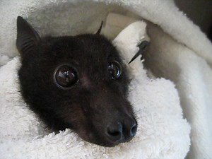 107K views · 9.4K reactions | Sweetheart was caught in large aperture...