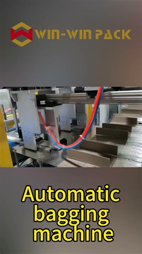 Automatic Bagging Machine for Daily Essentials | Speed Up Your Packaging Process #automaticpackaging