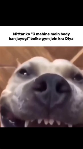 ɢʀɴᴅꜰʟx on Instagram: "🤣😆"