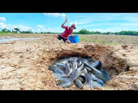 awesome fishing! catch a lots of monster Redfish and catfish in under the ground by hand