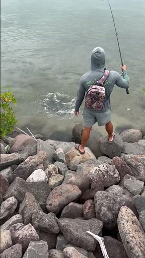 Catching bonefish with the ghetto super fly #hawaii #bonefish #bonefishing #fish #fishing #flyfisher