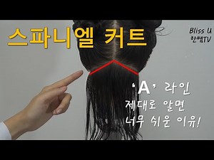 Grooming (general) national qualification/Spaniel cut/A-line practice a lot~!