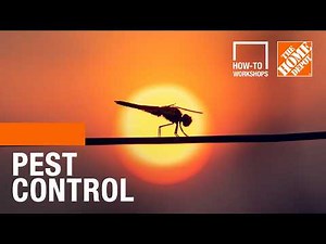 How-To Workshops - Pest Control | The Home Depot