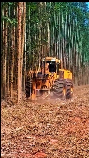 Modern Tree Harvesting Machine