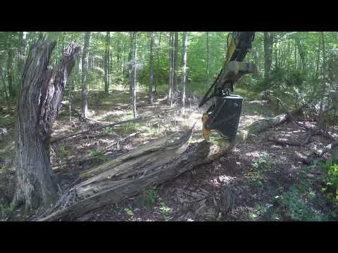 Koala 400 Tree Shear on Cat 311Cu Excavator