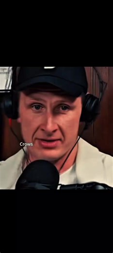 #australia #AFL #crom #crows #cromball @afl @Adelaide Crows #SA #foryou #fypage #footy #AUS #2025 #fyp #fyppppppppppppppppppppppp #Crom #Crows #adelaidecrows #adeleide #upthecrom