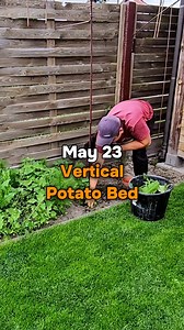 764K views · 9.4K reactions | Vertical Potato Bed (Experiment). I...