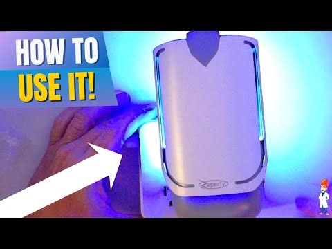 How to Use this Chemical Free Fruit Fly Trap
