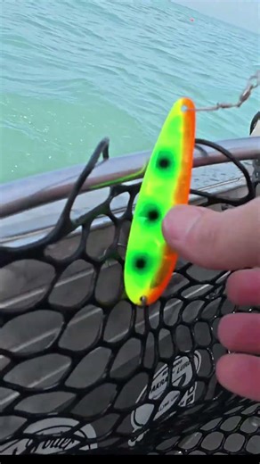 Fishing Coho Salmon on Lake Michigan #shorts #fishing
