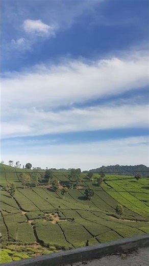 Inside Indonesia's Hidden Tea Country — Sindangkerta, West Java's Most Breathtaking Highland Village