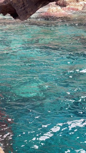 #madeiraisland #madeiraportugal #visitmadeira #madeira #oceanlife