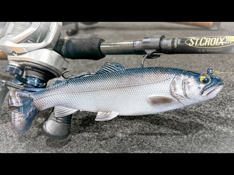 Where Do Bass Go In Winter? ( And Best Baits To Catch Them )
