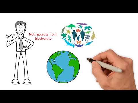 Neurodiversity