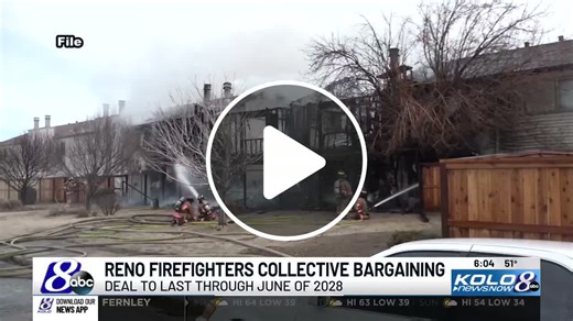 Alpine County officials searching for mountain lion that entered home - NewsBreak