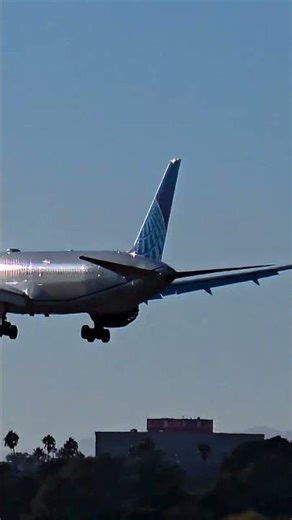 Stunning Landing by Boeing 787-9 Dreamliner