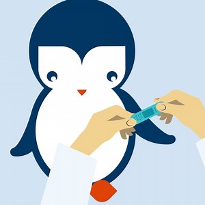 6.1K views · 17 reactions | Back-to-school is here. Are your kids classroom ready and up-to-date on their vaccinations? Schedule an appointment for your children with their pediatrician, just like Pip! Visit AdventistHealth.org/Doctors. | Adventist Health | Facebook