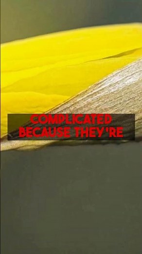 Your Guide to Heart Palpitations Causes Diagnosis and Advice