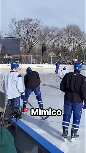 The Toronto Maple Leafs take practice to Prince of Wales Park in Mimico for their annual outdoor session! ❄️ (🎥: X/markhmasters) | TSN